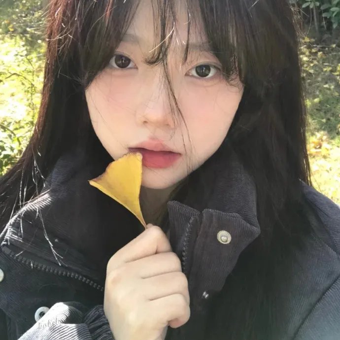 王国第二季封面