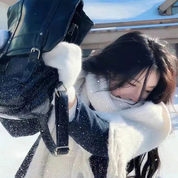林冲粤语封面